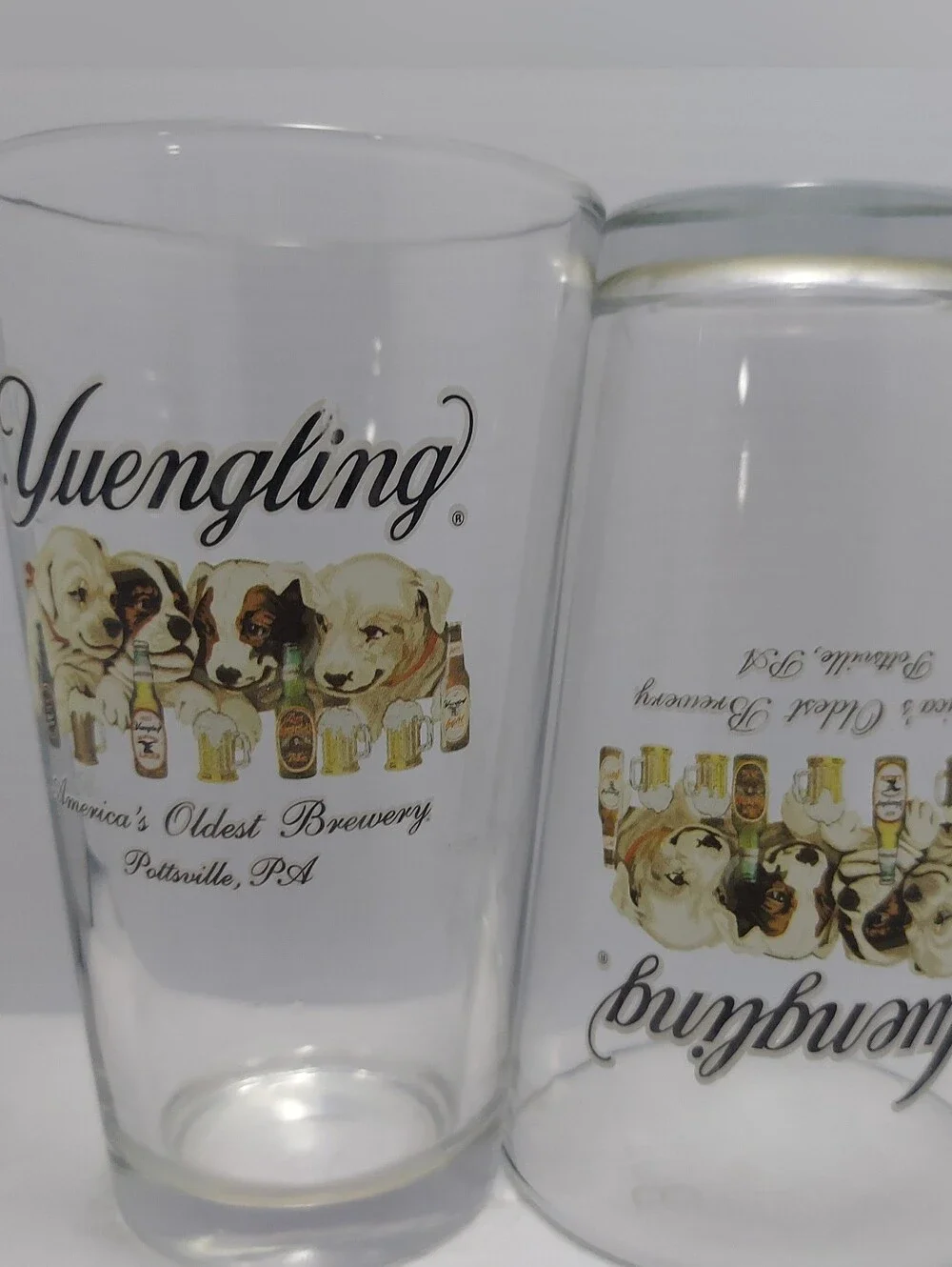 Yuengling Clear Pint Glass with Dog Artwork - Clear - Picture 1 of 14